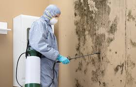 Biohazard Mold Removal in Ephrata, PA